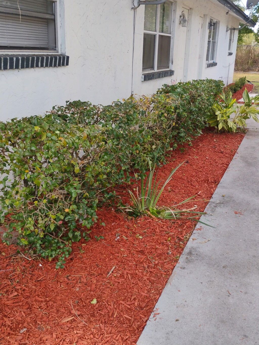 Photo of 3425 Grace Avenue, Palm Springs, FL 33461 (MLS # R11156437)