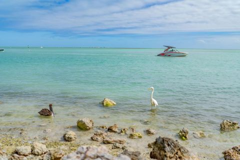 A home in Islamorada