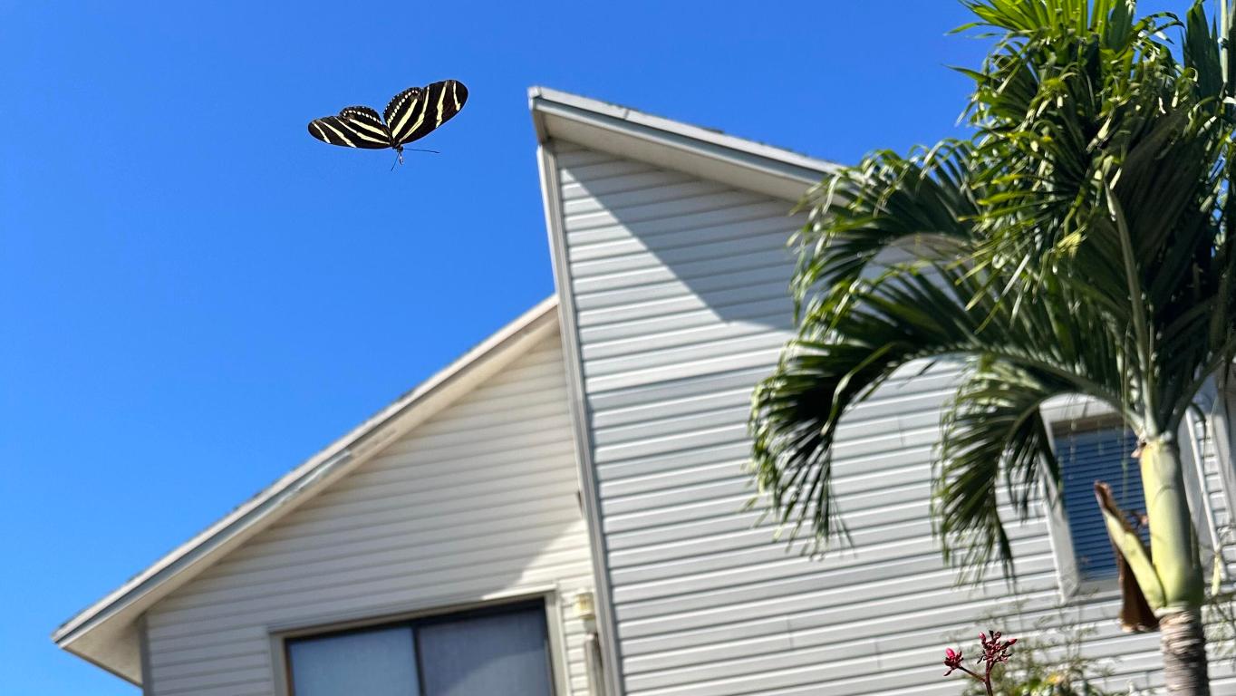 TROPIC ISLE 3RD SEC - Residential