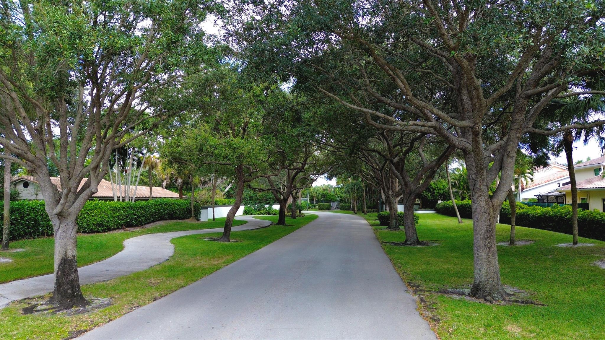 LOS PASEOS OF VIA VERDE R - Residential