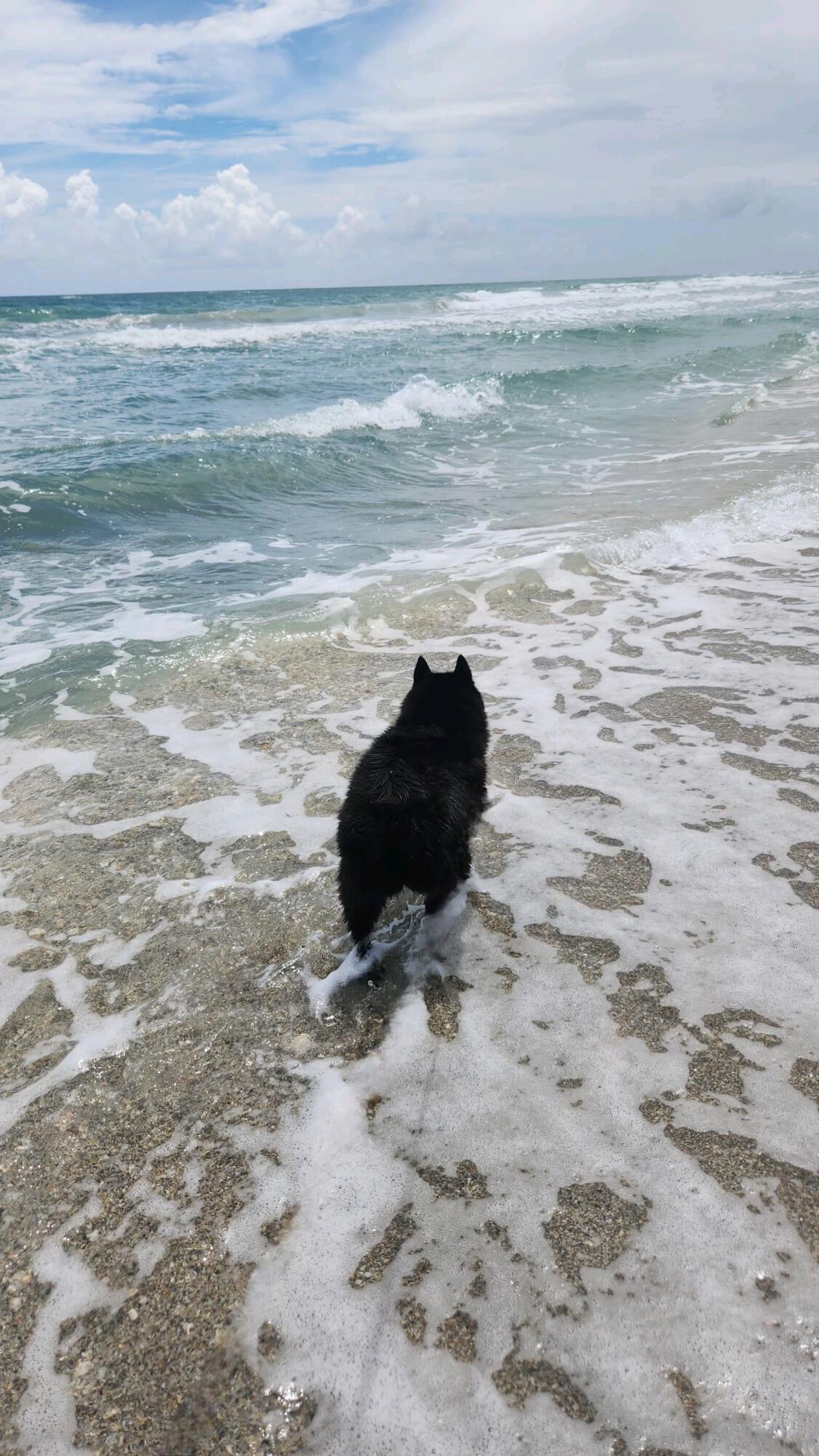 VIA DEL MAR CONDO - Residential