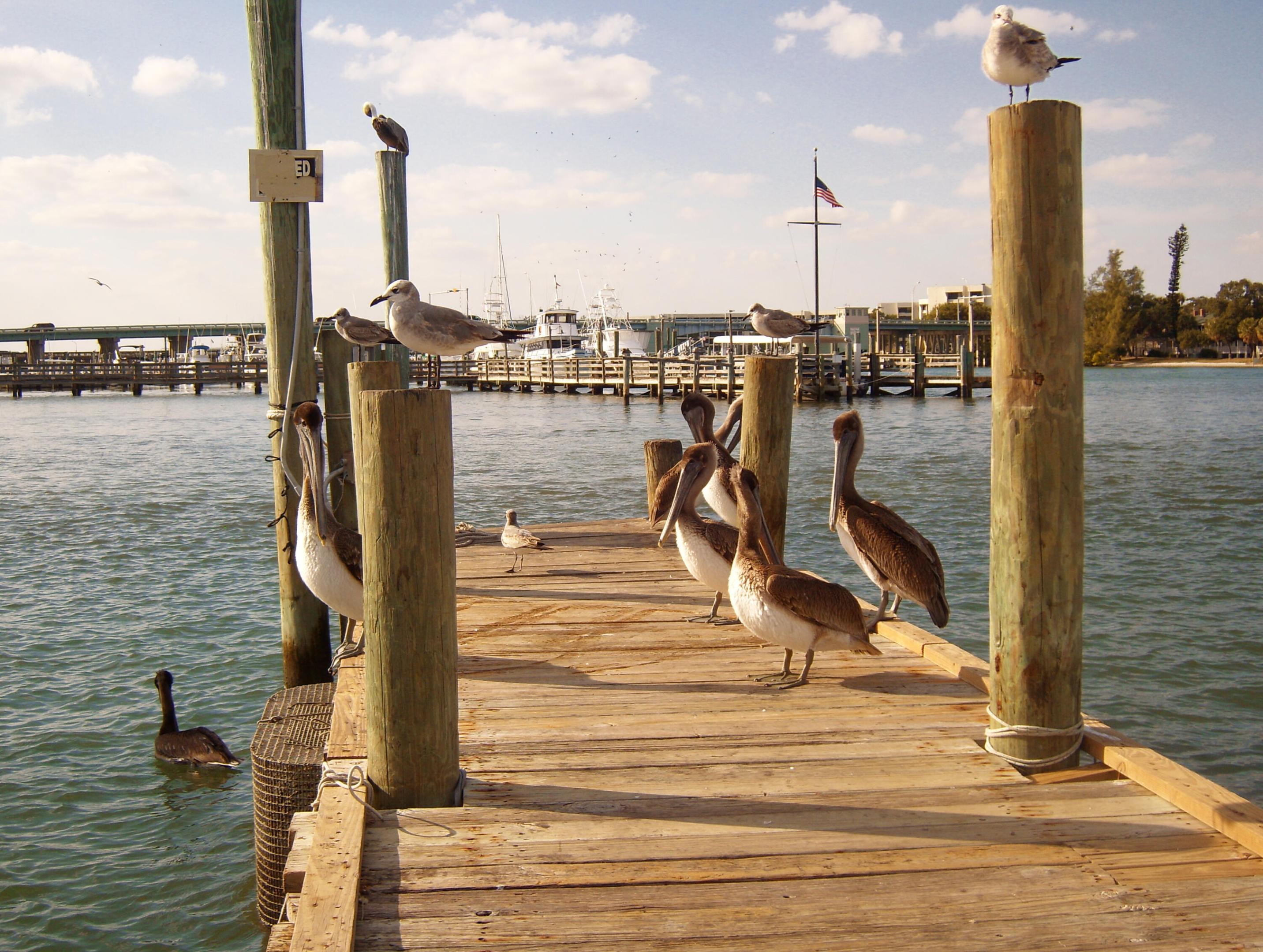 ONE SINGER ISLAND CONDO - Residential