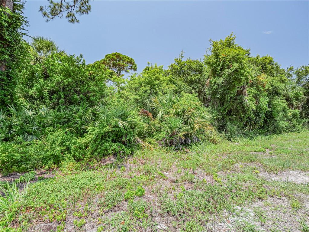 SAN LUCIE PLAZA SUBDIVISION UNIT 1 - Land