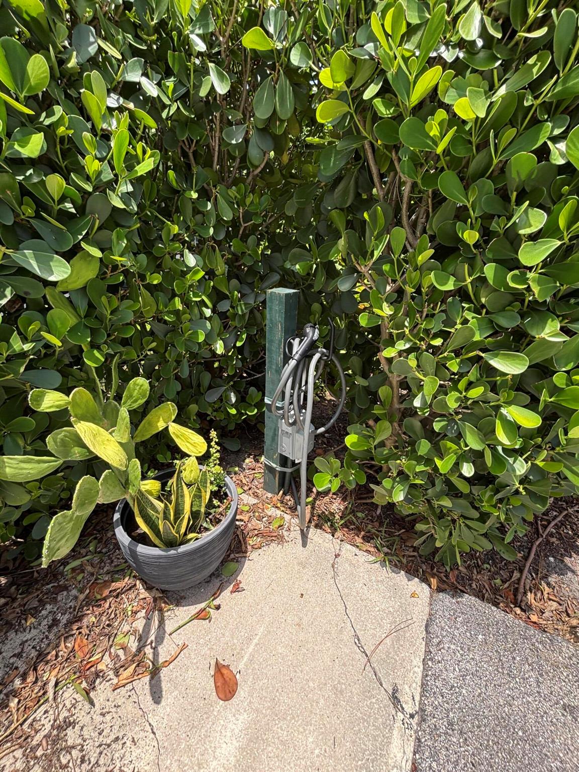 Quail Ridge - Sandpiper - Residential