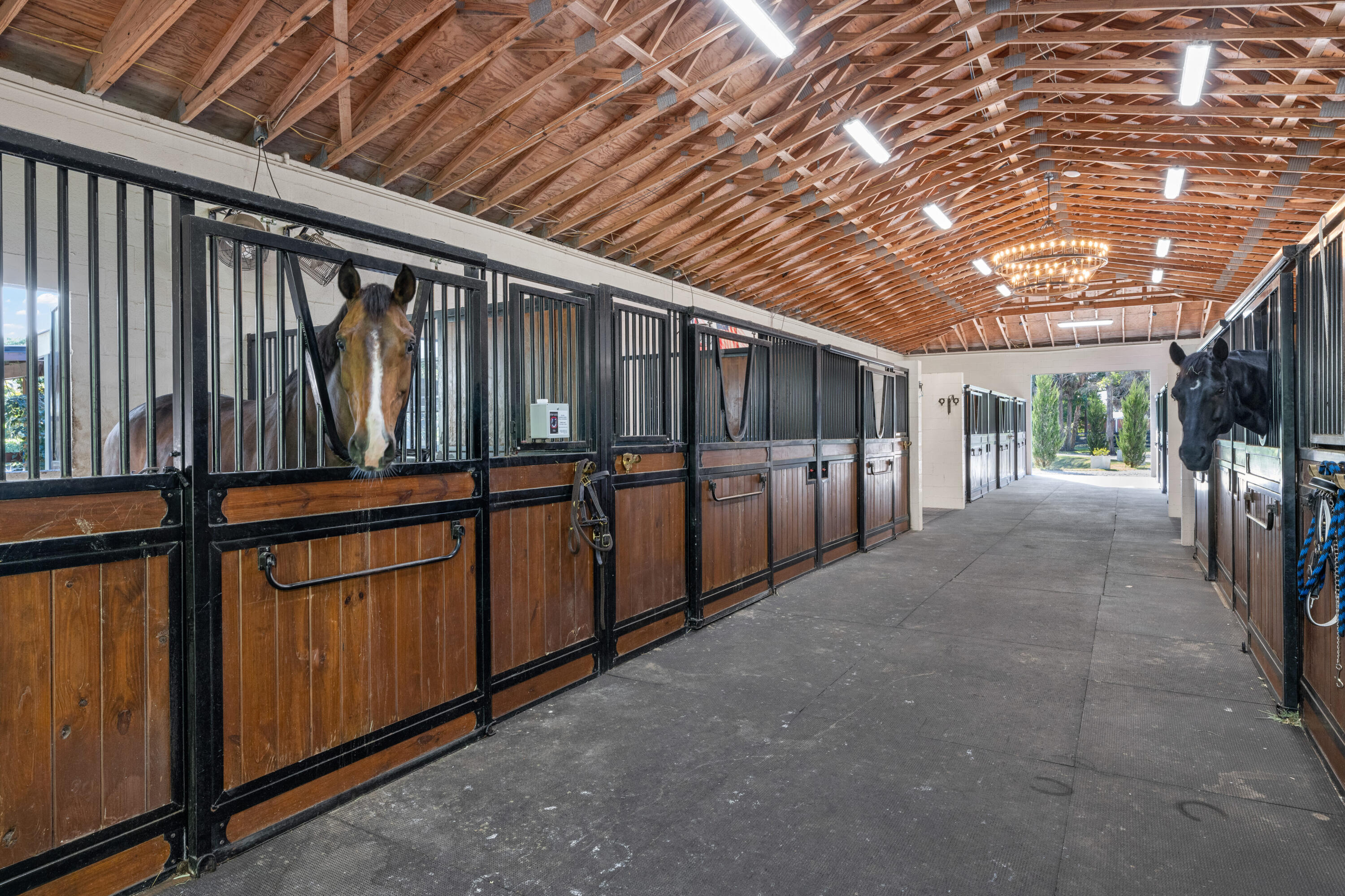 15161 Collecting Canal Road