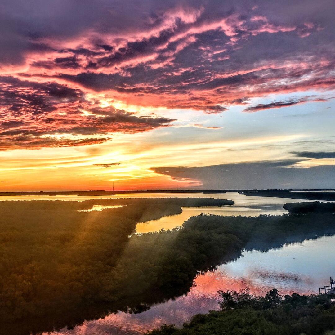 BRYN MAWR OCEAN TOWERS, A CONDOMINIUM - Residential