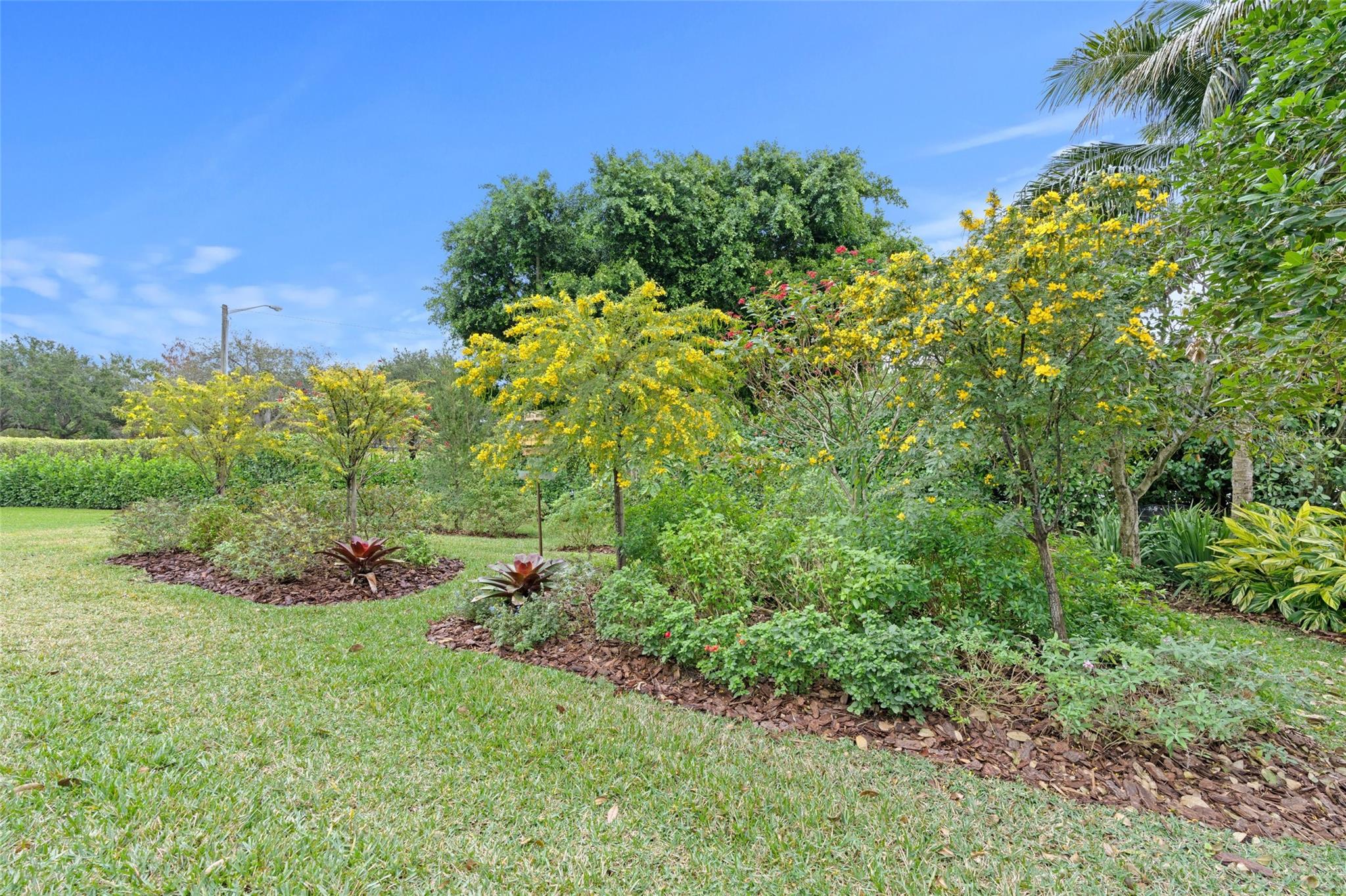 Wellington Aero Club - Residential