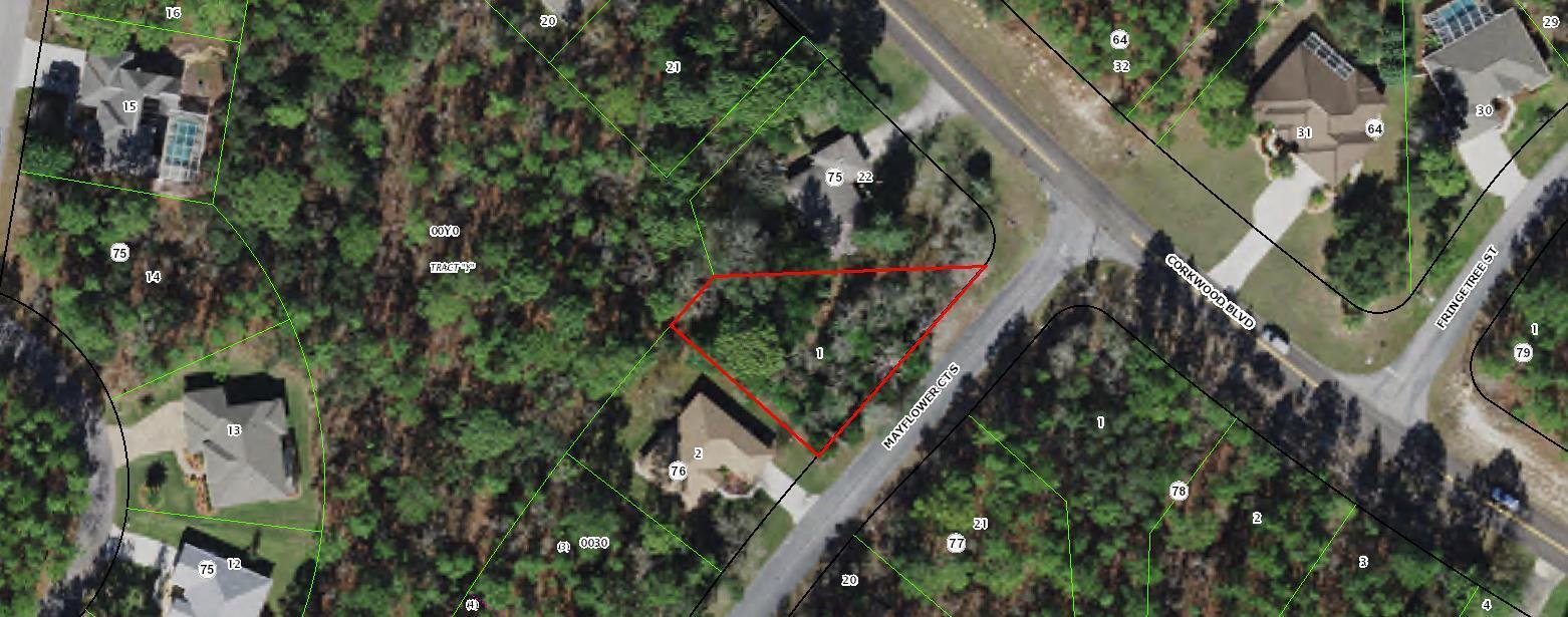 Cypress Village of Sugarmill Woods is a Deed Restricted Community within the Sugarmill Woods. Build your brand new home on this .27 acre corner home site. surrounded by homes. Suncoast Parkway extension in progress. Conveniently located within an hour of Tampa and Tampa airport.