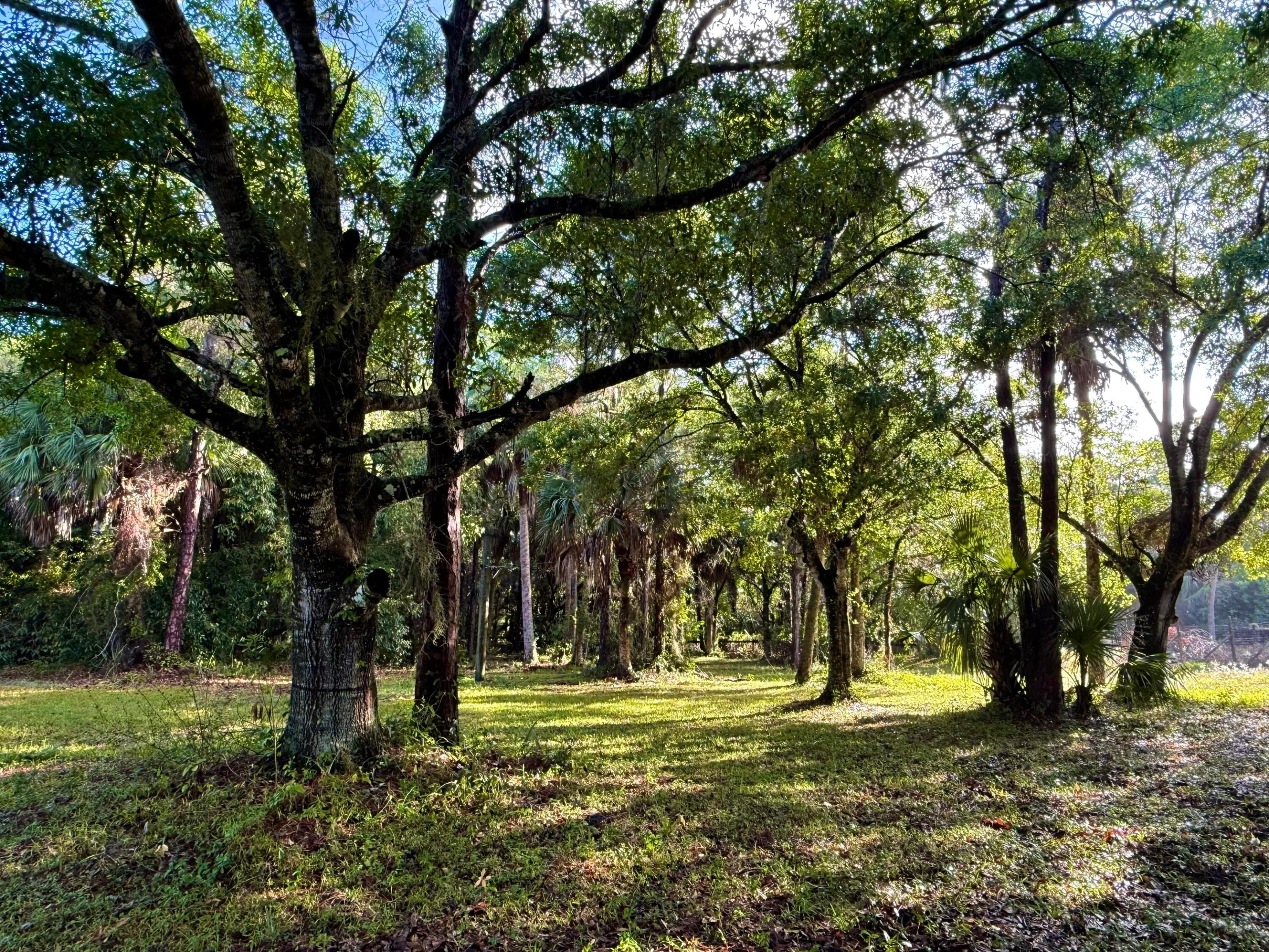 Oakwood Estates Jupiter Farms - Residential