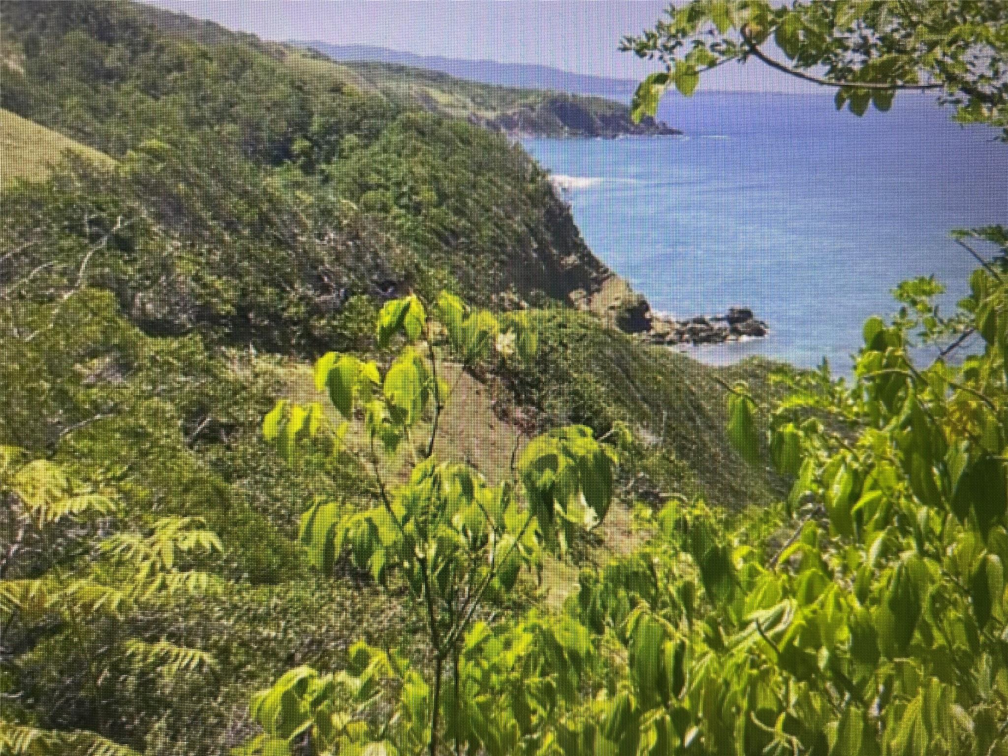 ROBIN BAY ST MARY JAMAICA WI - Land