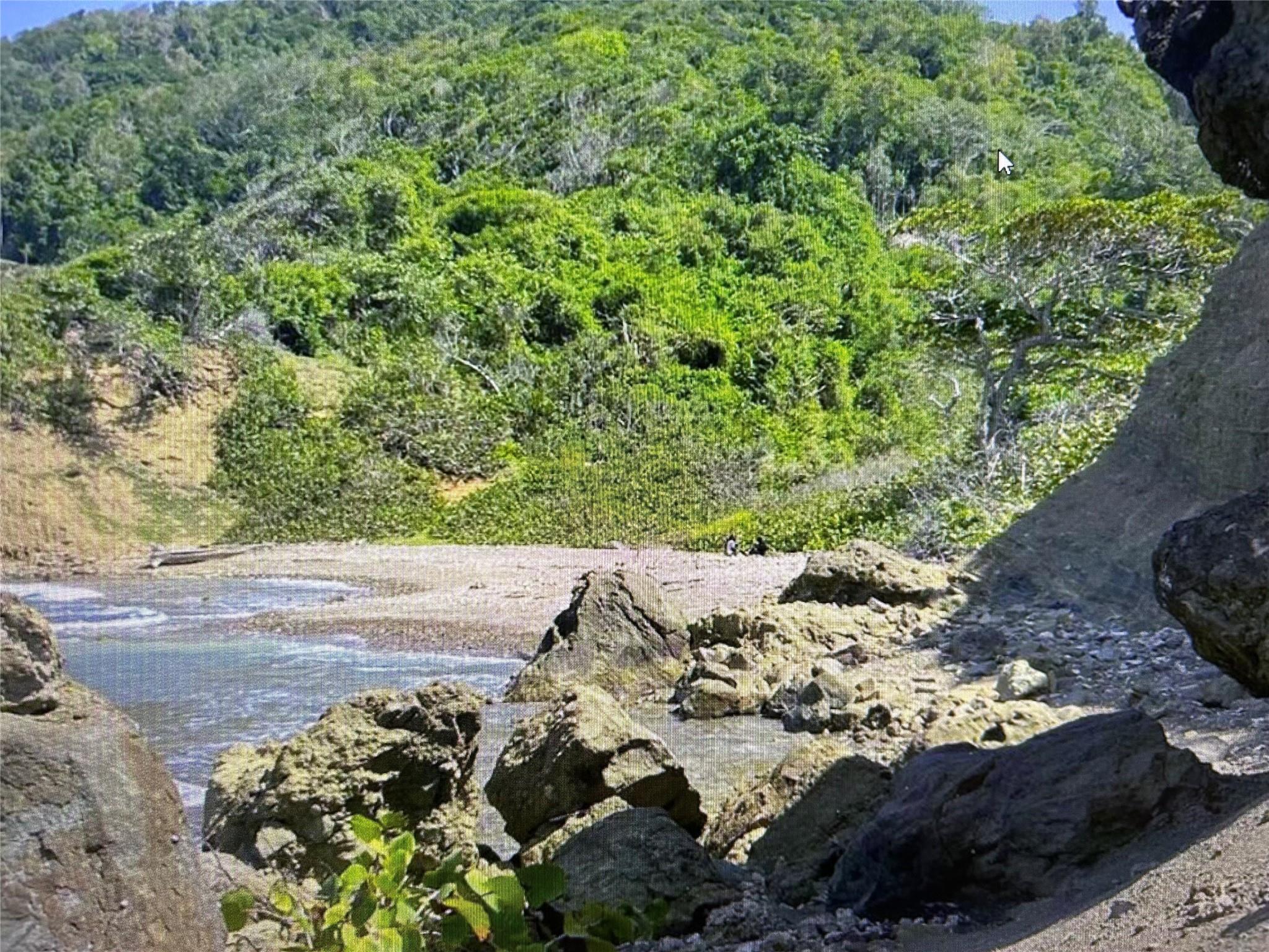 00 ROBINBAY