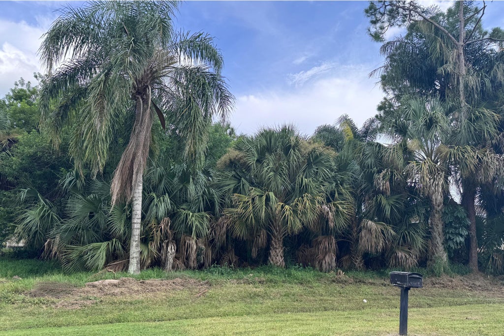 Photo of 908 SW BAY STATE Road, Port Saint Lucie, FL 34953 (MLS # B26066688)
