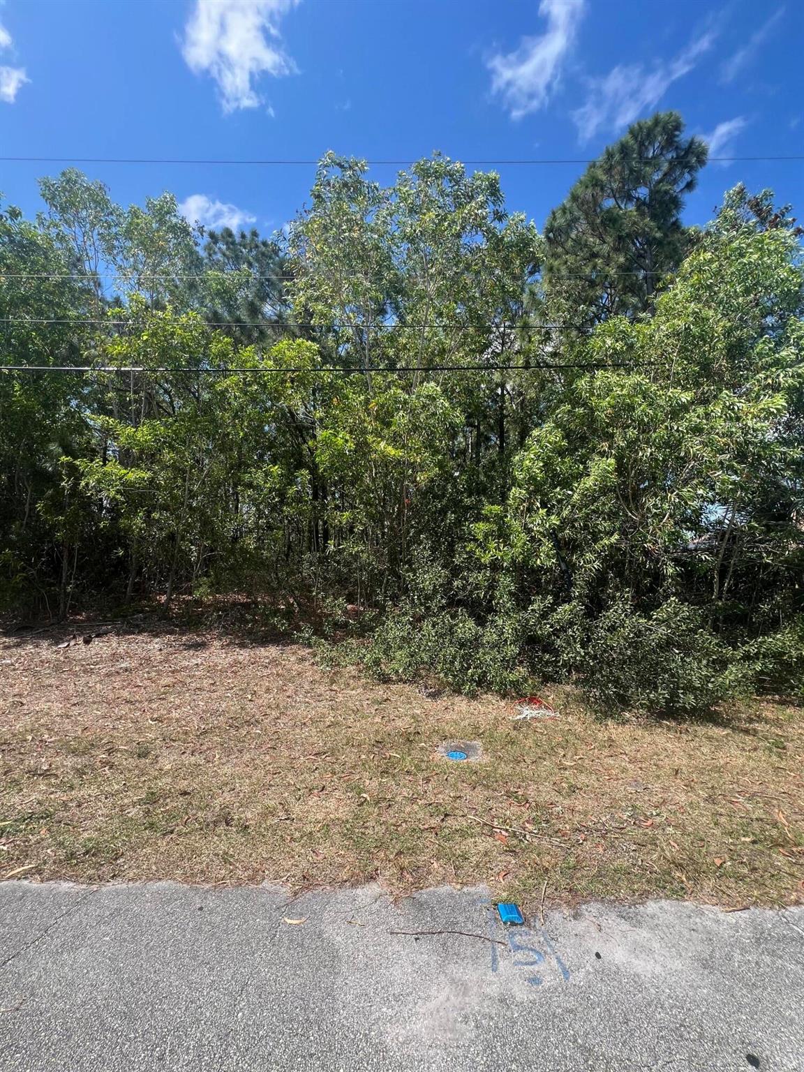 Great opportunity 10,000 sqft Lot on residential neighborhood