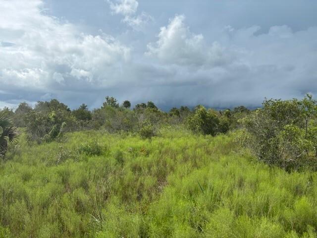 Great agricultural property, hunt, campsite, or both in Okeechobee, FL.
NOT BUILDABLE
Owner finance with only $2k down