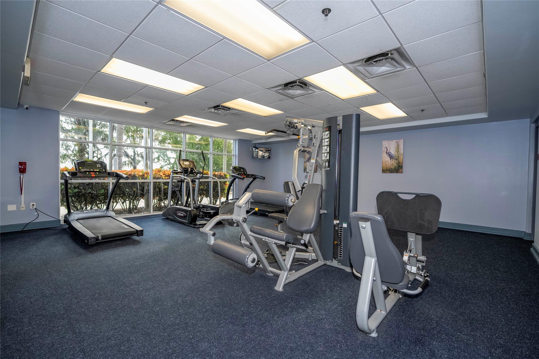 Blue Heron Beach Resort - Residential