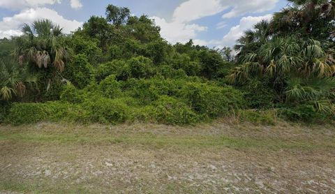 0 Bucknell Road Labelle FL 33935