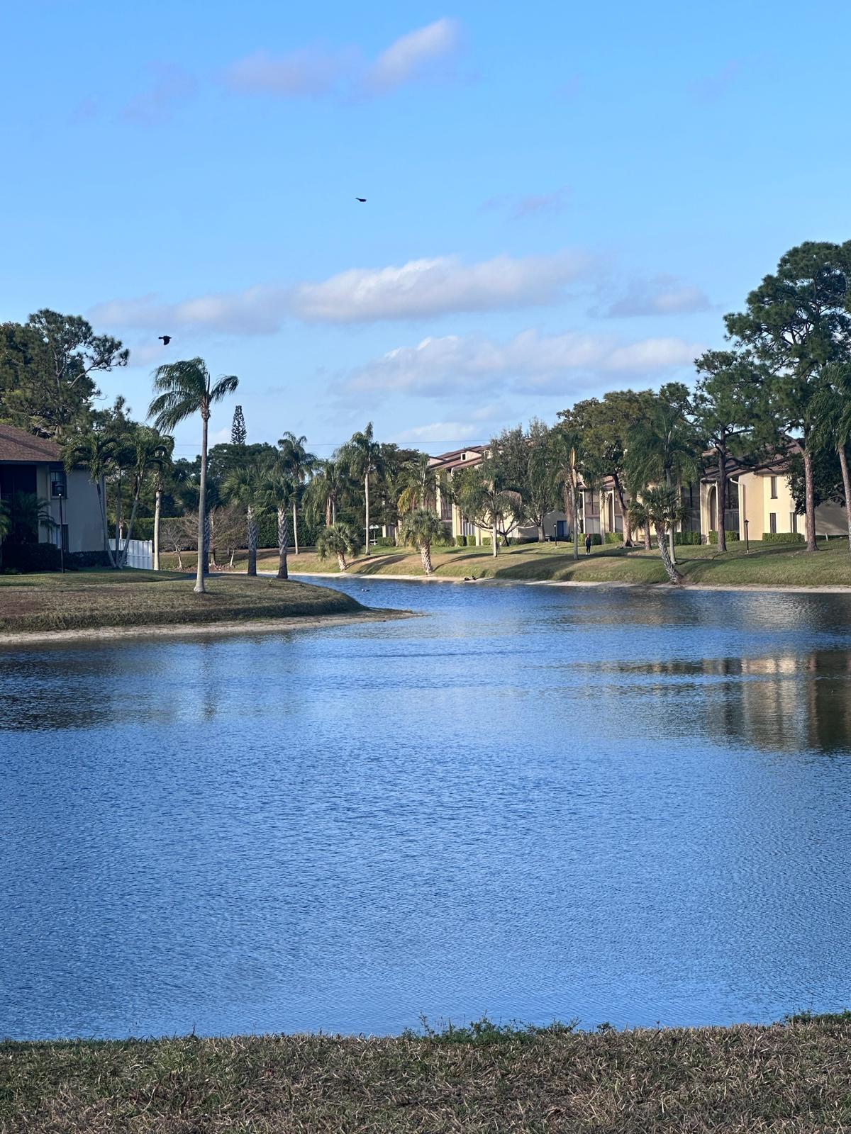 PINE RIDGE NORTH I COND DECL FILED 1-5-82 - Residential