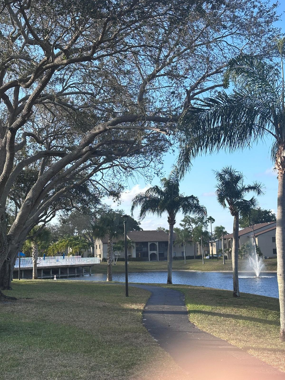 PINE RIDGE NORTH I COND DECL FILED 1-5-82 - Residential