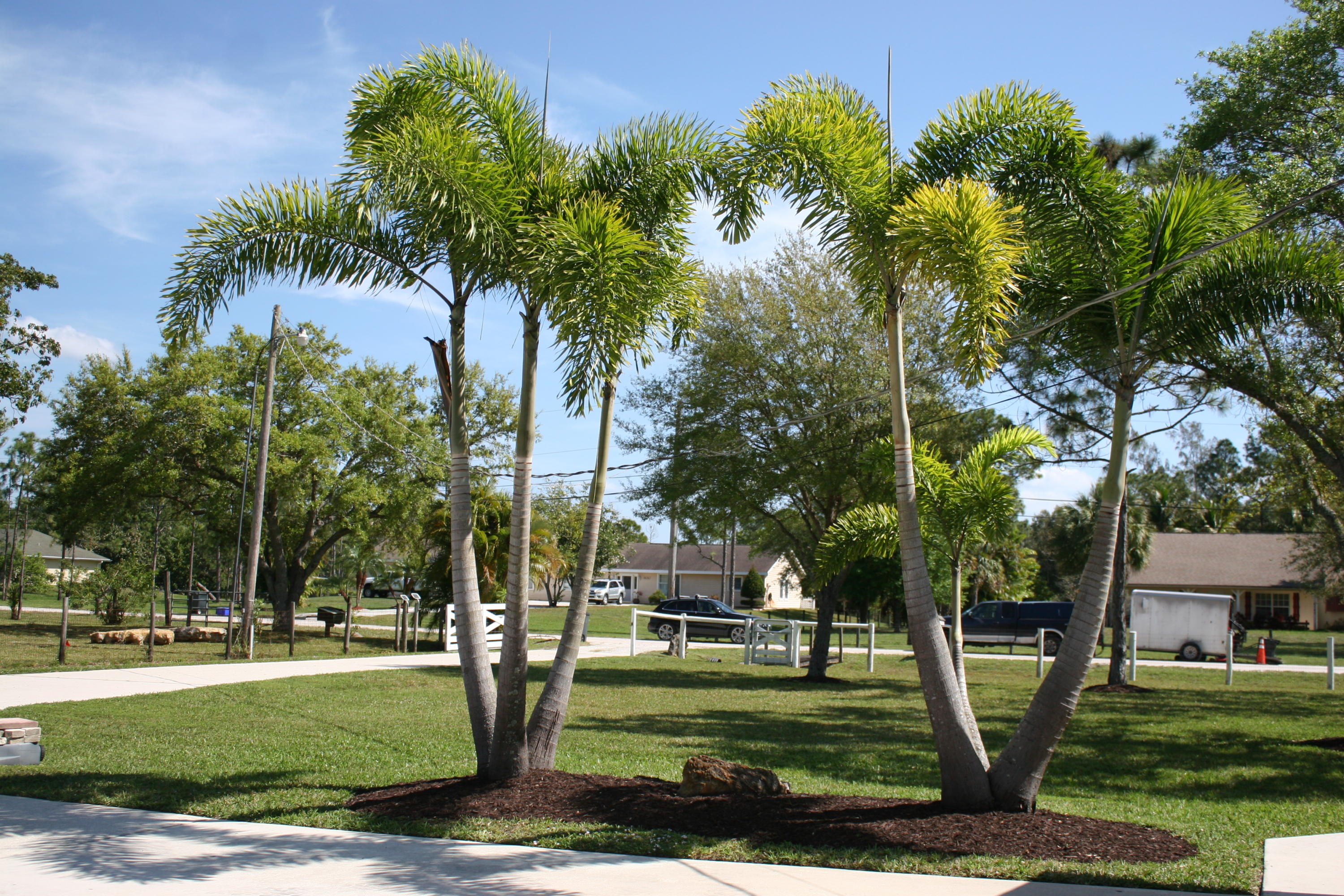 JUPITER FARMS - Residential