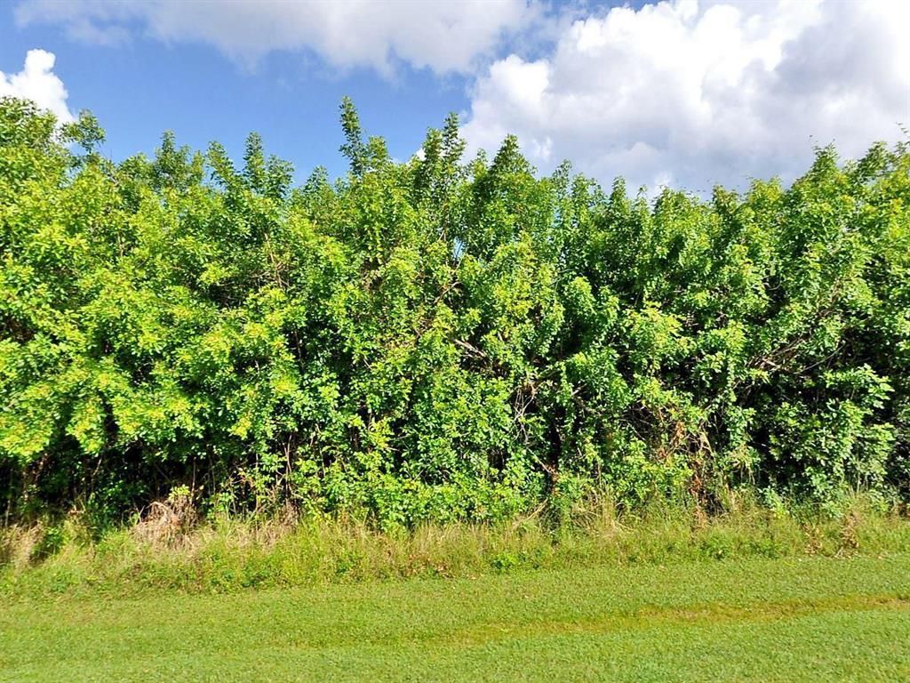 Photo of 6287 NW Gisela Street, Port Saint Lucie, FL 34986 (MLS # R10728915)