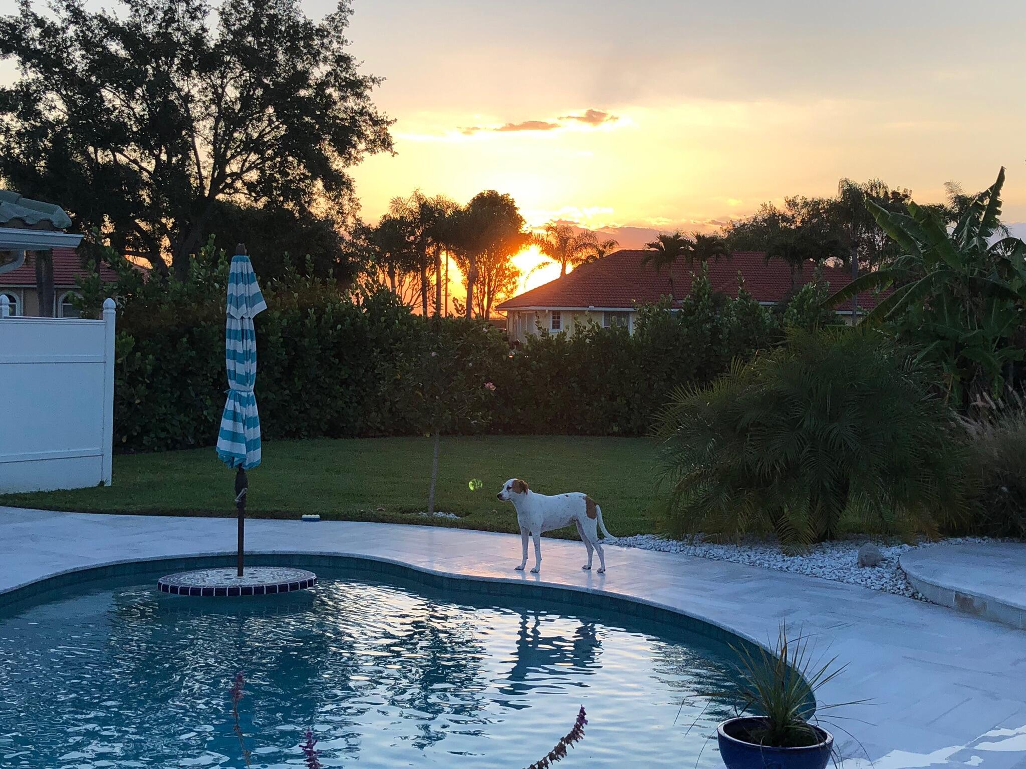 MEADOW WOOD OF THE LANDINGS AT WELLINGTO - Residential