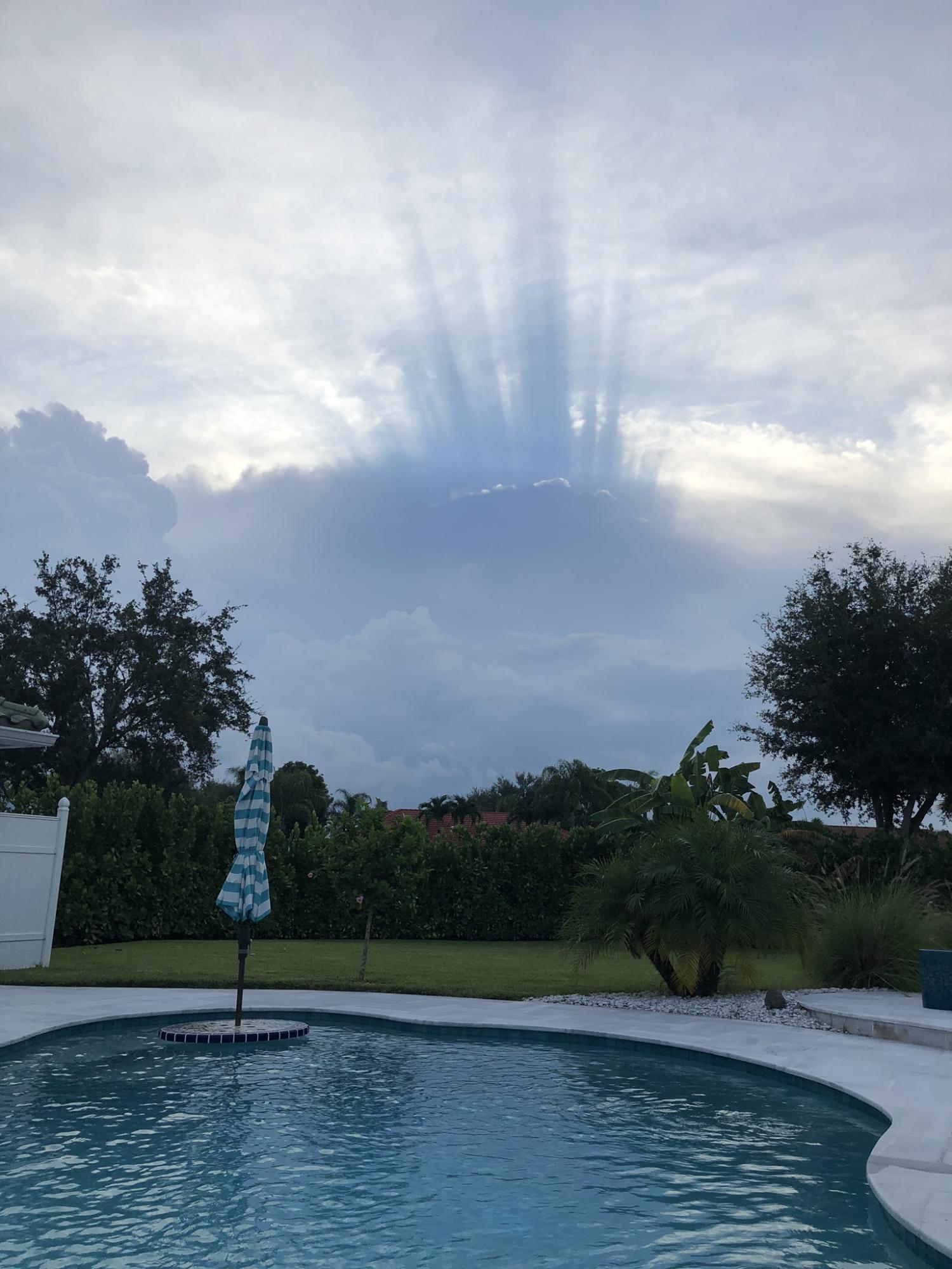 MEADOW WOOD OF THE LANDINGS AT WELLINGTO - Residential