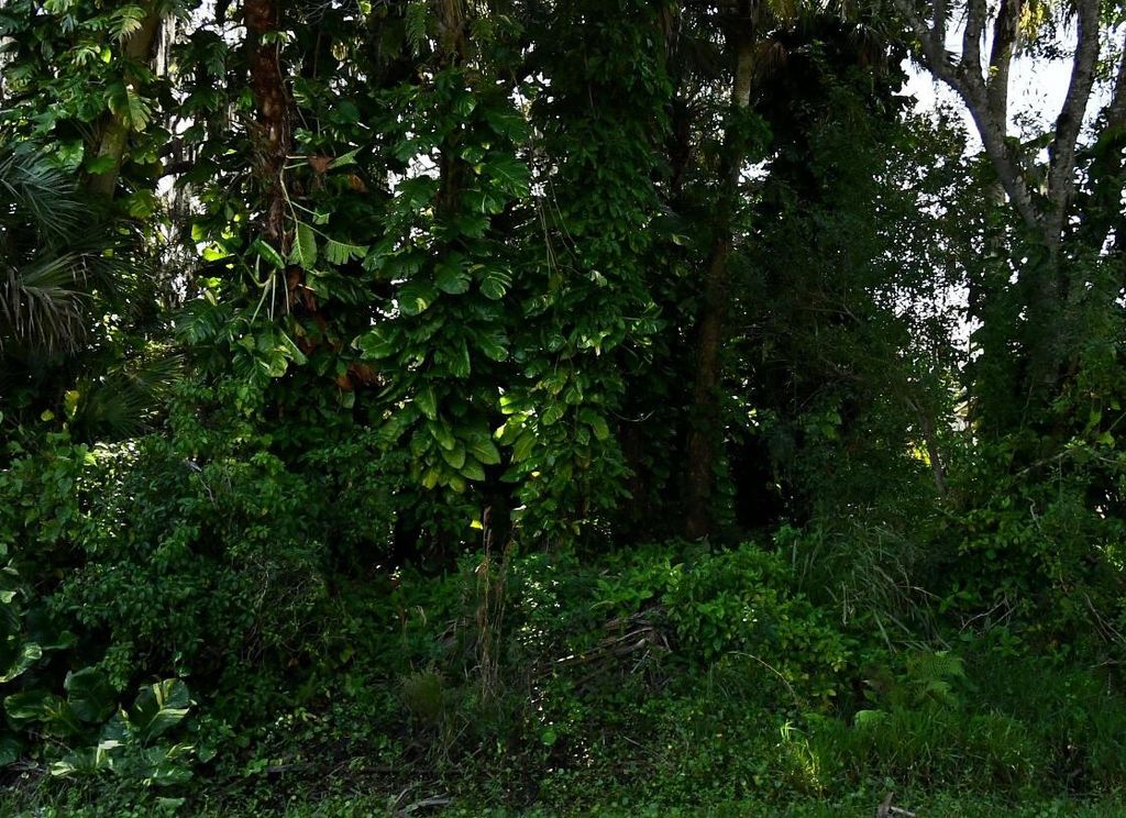 Photo of 7803 Citrus Park Boulevard, Fort Pierce, FL 34981 (MLS # R10954972)