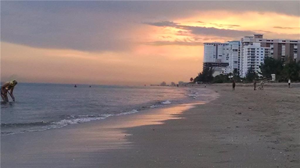 Ocean Monarch - Residential