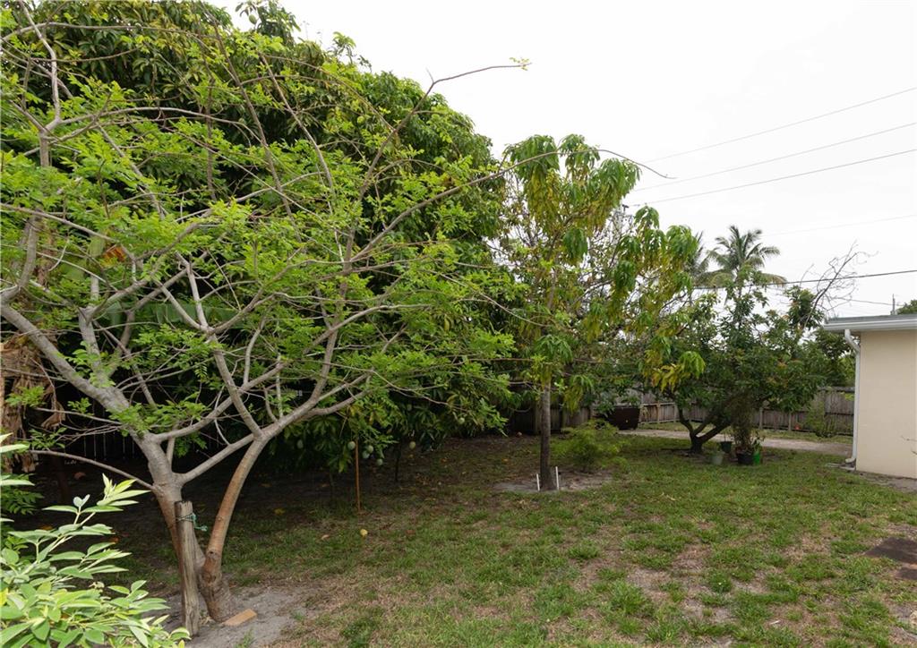 HOLLYWOOD HILLS - Residential