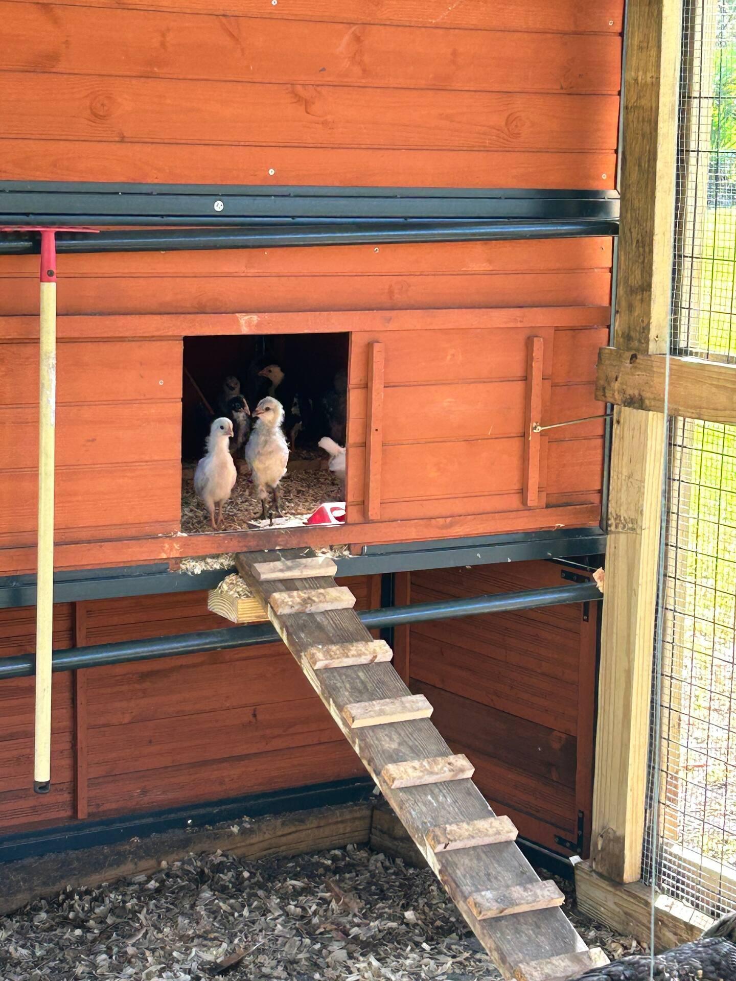 N/A - Residential Income