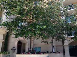 Metropolitan - Residential