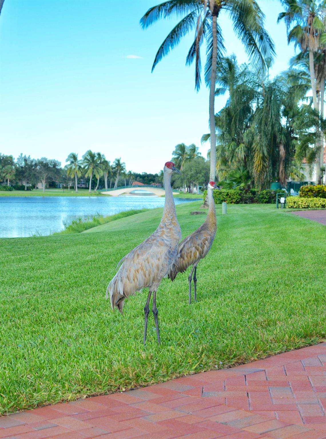 RIVERWALK 2 - Residential