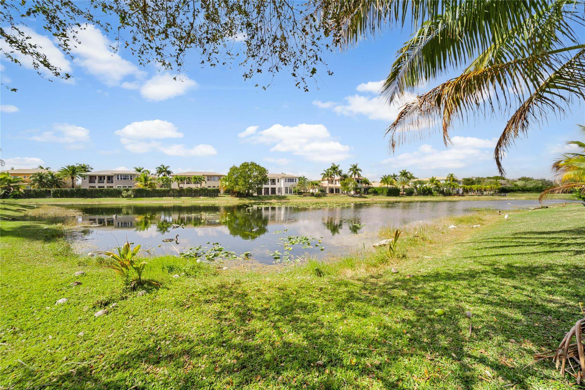 HERON BAY - Residential