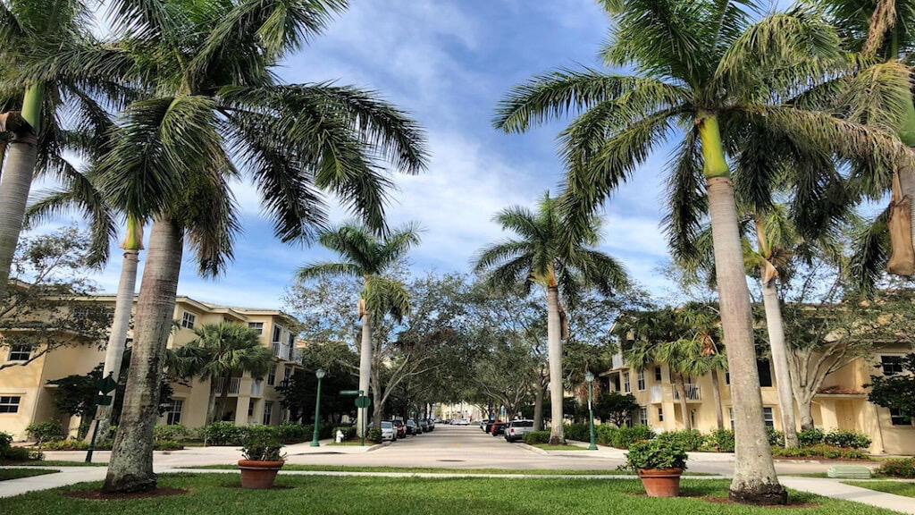 1139 TOWN CENTER Drive 25