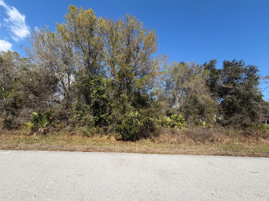 This vacant lot is the perfect opportunity to build your custom home or invest! City water available (connection required). Septic required.