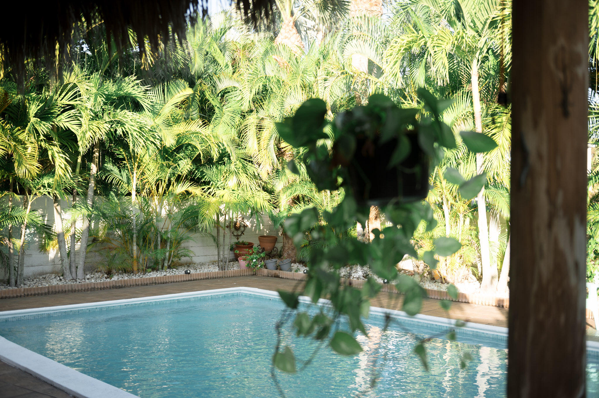 Surfside - Residential