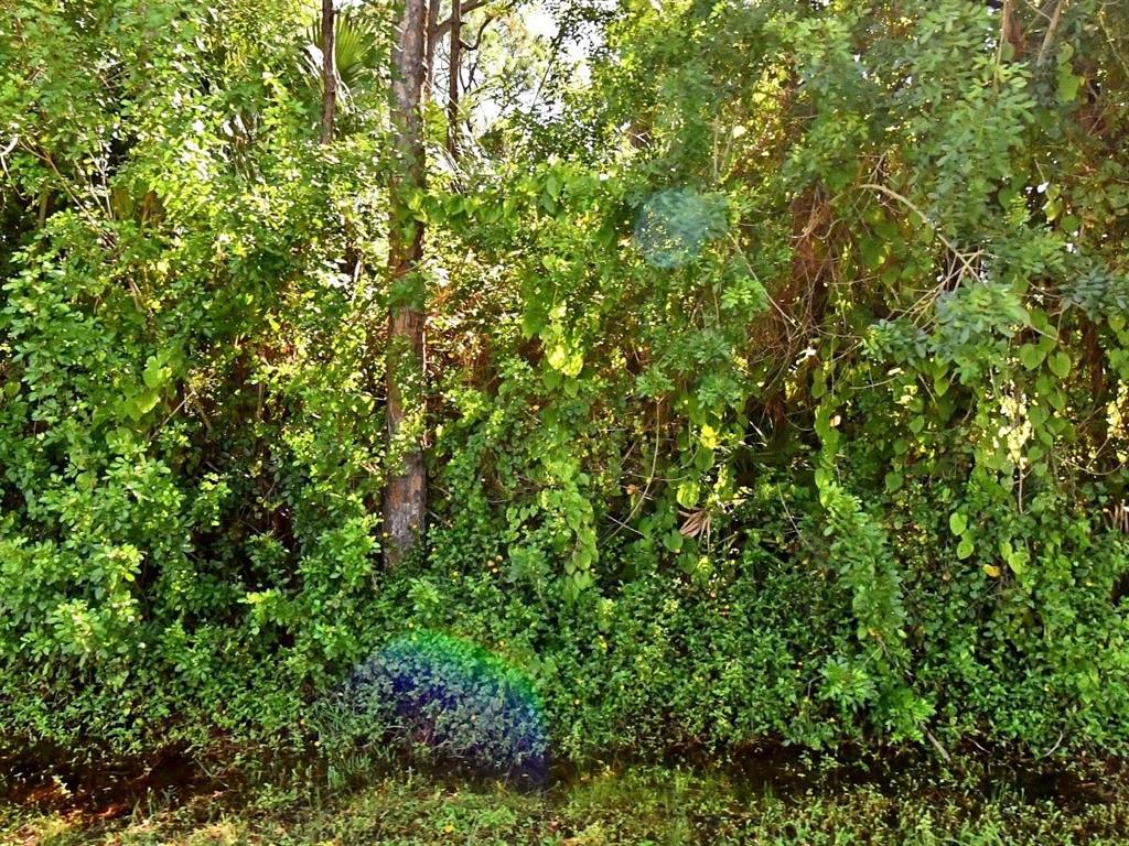 Price lowest to sell quickly, nice buildable lot with Trees and surrounded by newer homes.