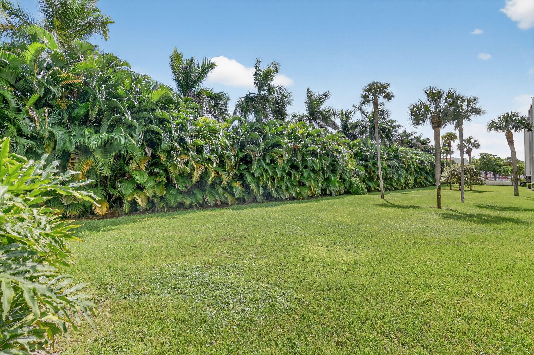 LANDS OF THE PRESIDENT CONDO 8 - Residential Lease