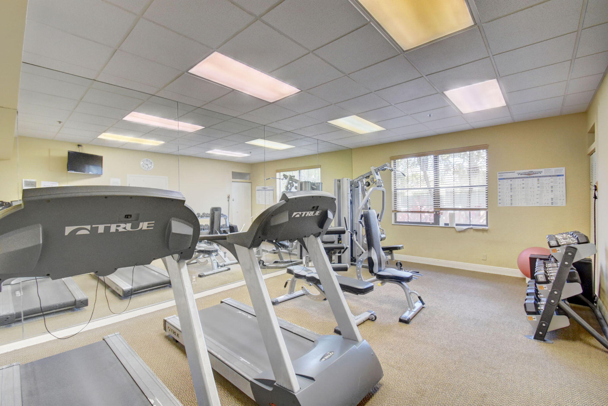 PALM CHASE LAKES CONDO - Residential