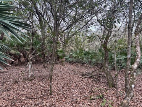 0 Old Grade Road Polk City FL 33868