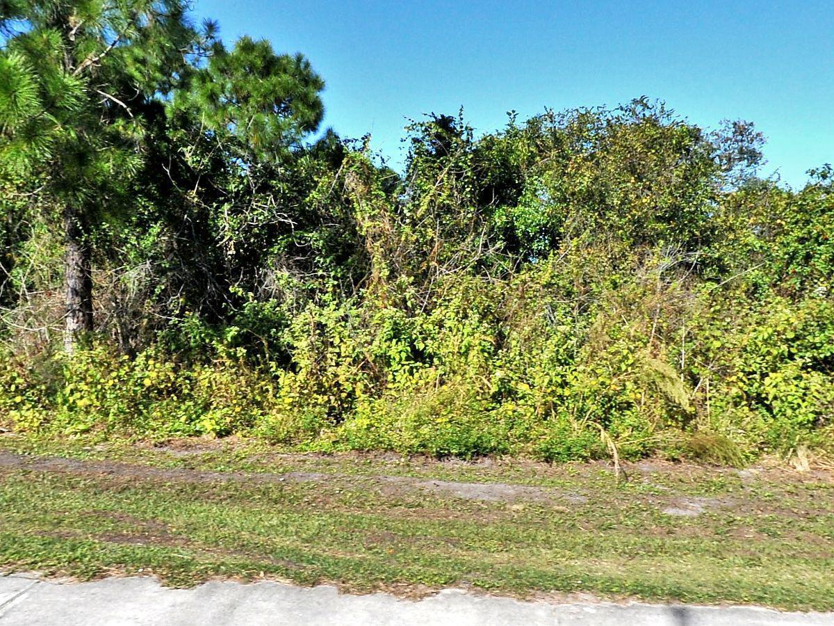 Build your dream home on this spacious vacant lot. The lot next door is also available. Perfectly located for your future Florida home or investment! Situated in the heart of Port St. Lucie, this lot offers easy access to I-95 and the Florida Turnpike, making commuting very easy and also offering convenient connections to shopping, dining, and entertainment options! Located in a growing community, this property is perfect for those seeking a quiet, peaceful neighborhood while remaining close to the amenities of the area.