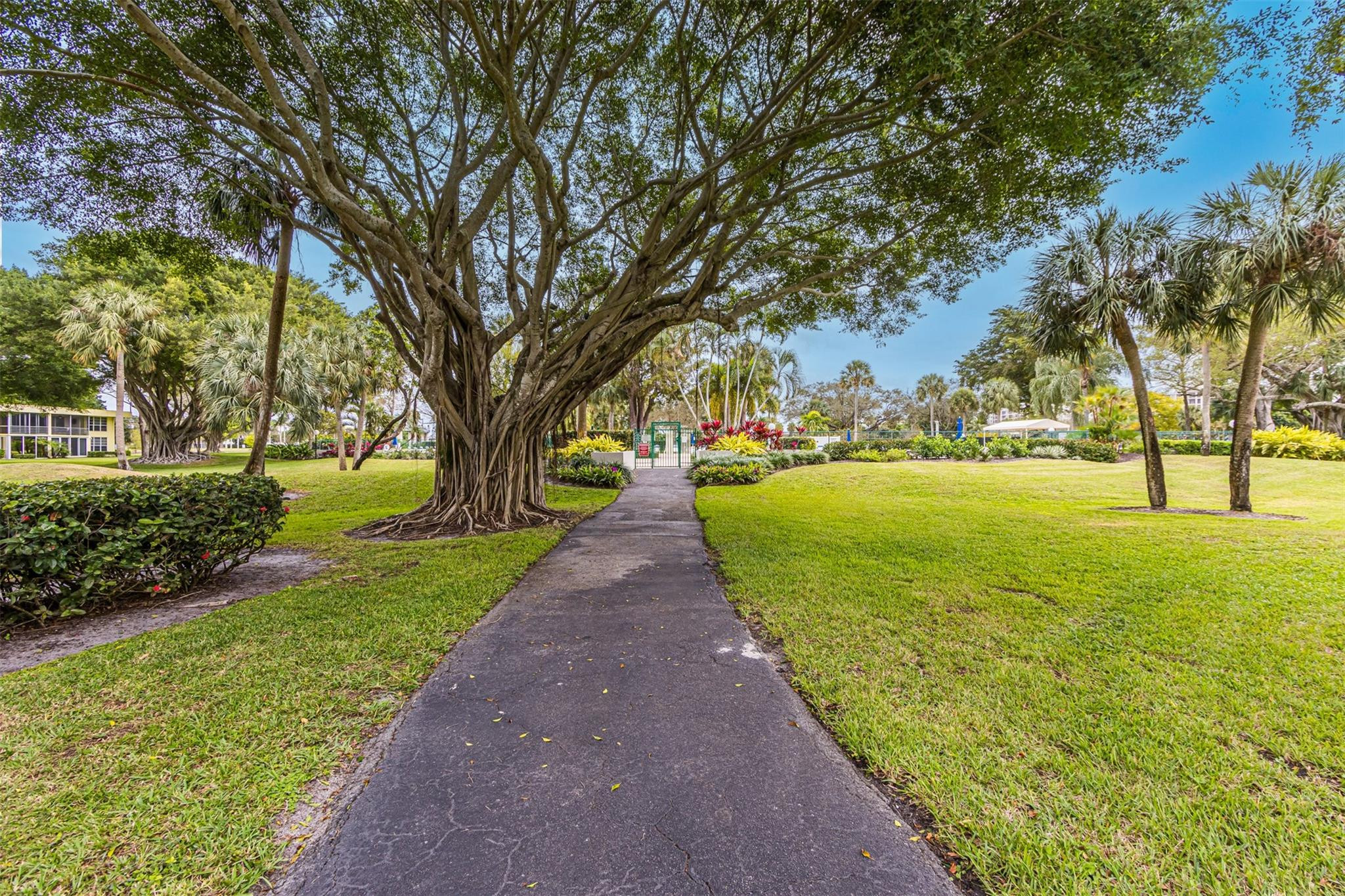 PALM-AIRE COUNTRY CLUB - Residential