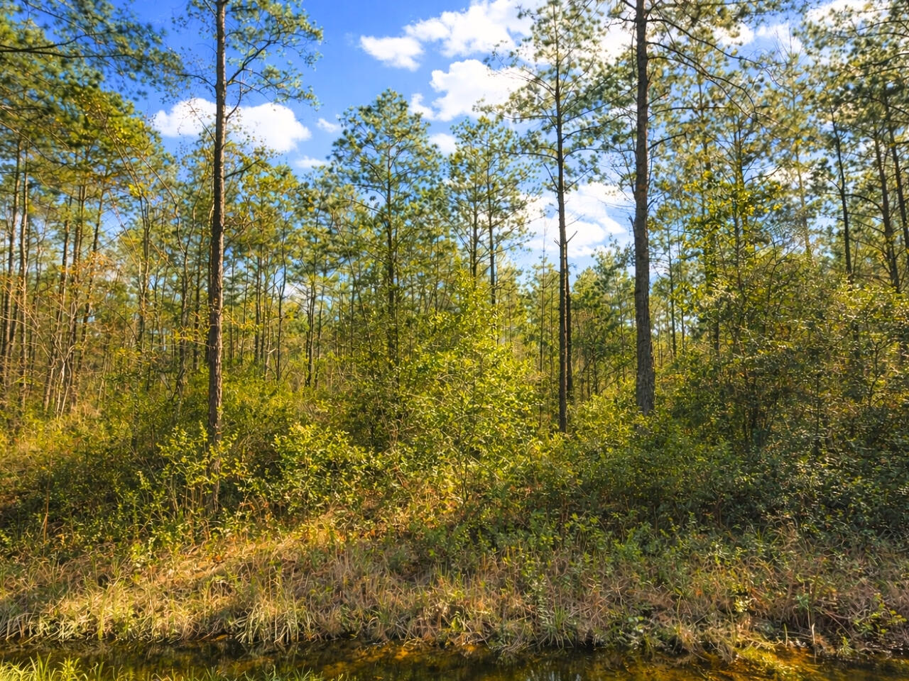 FLAGLER ESTATES - Land