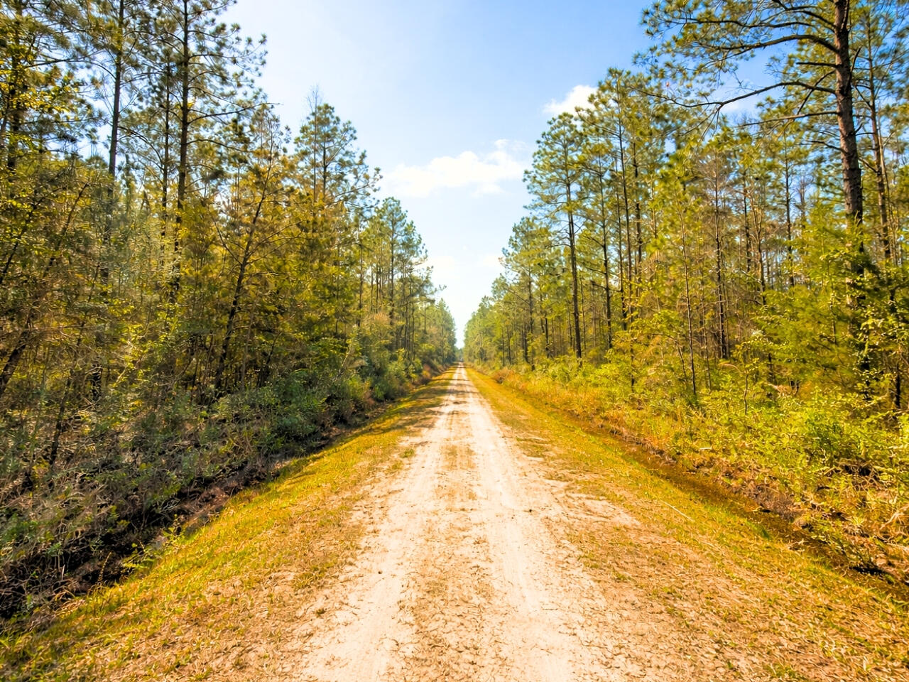 FLAGLER ESTATES - Land