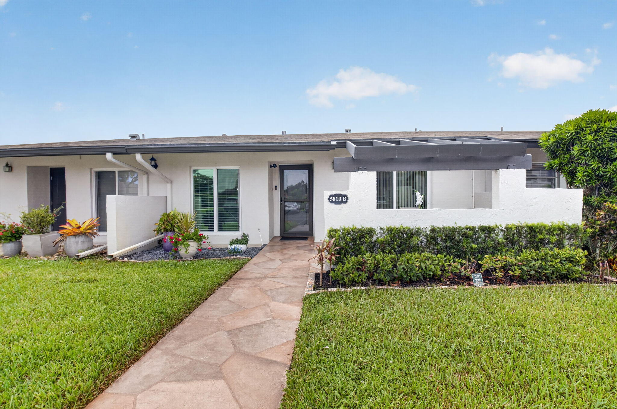 5810 ARECA PALM B