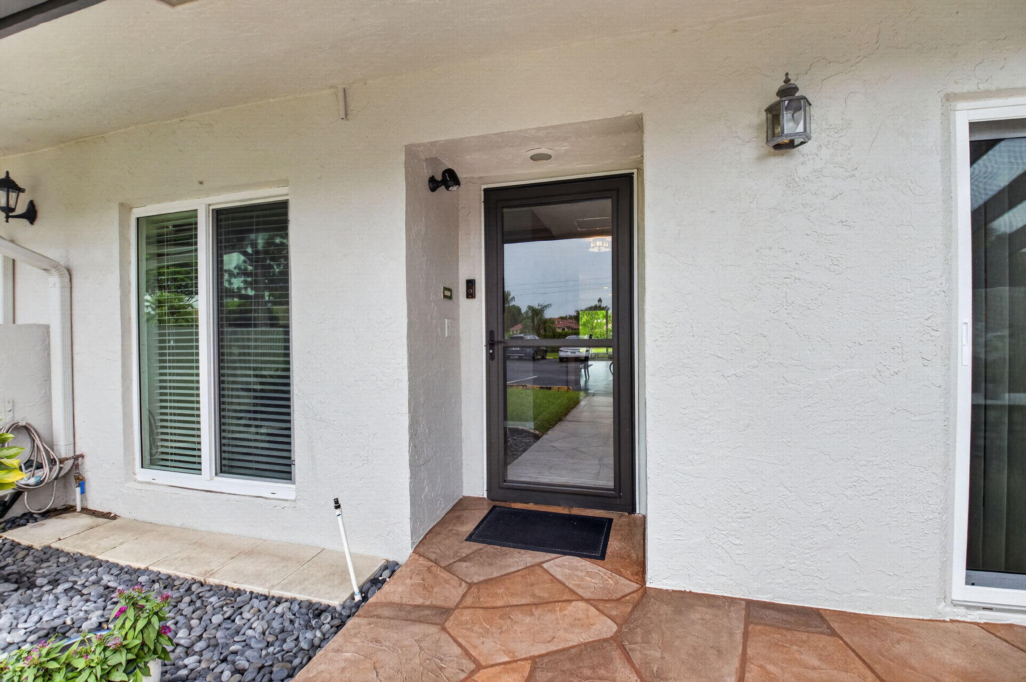5810 ARECA PALM B