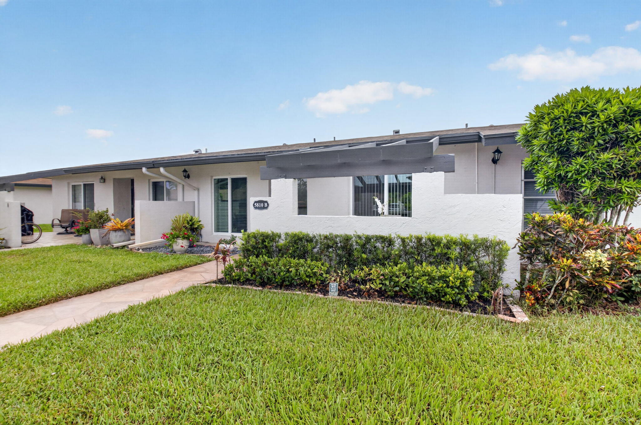 5810 ARECA PALM B