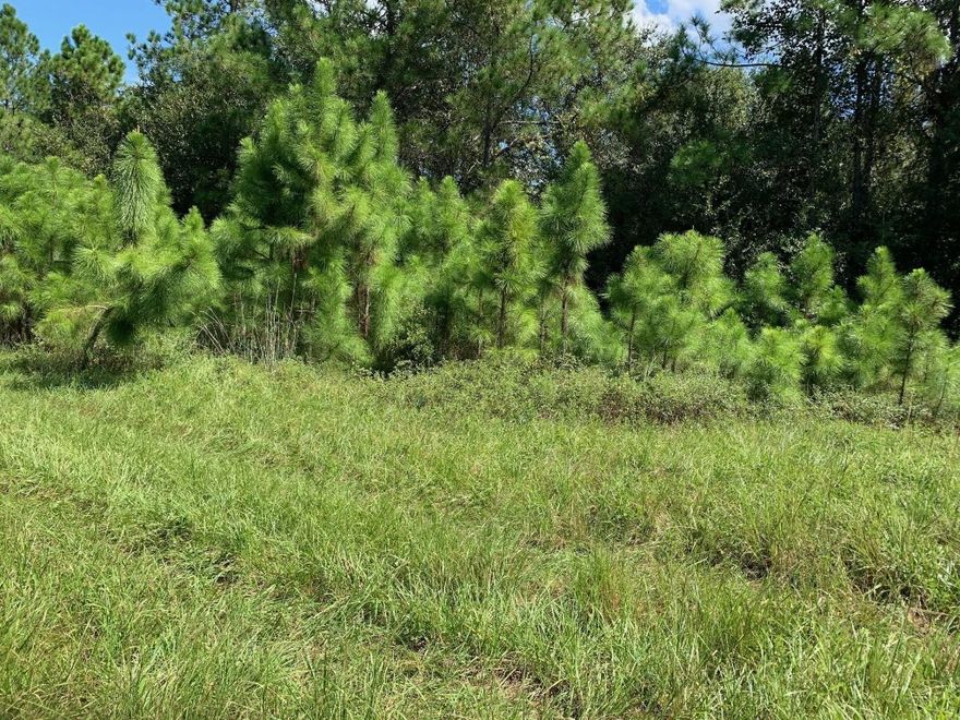 Great hunting property. As a bonus, by owning this double lot, you gain access to hundreds of miles fo 4-wheeling trails.Owner financing available