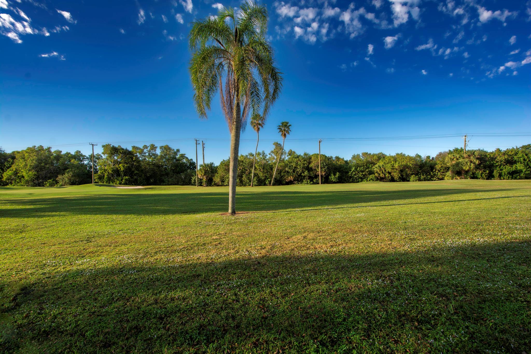 BRANDYWINE AT HERITAGE RIDGE (AKA QUINCY'S LANDING - Residential