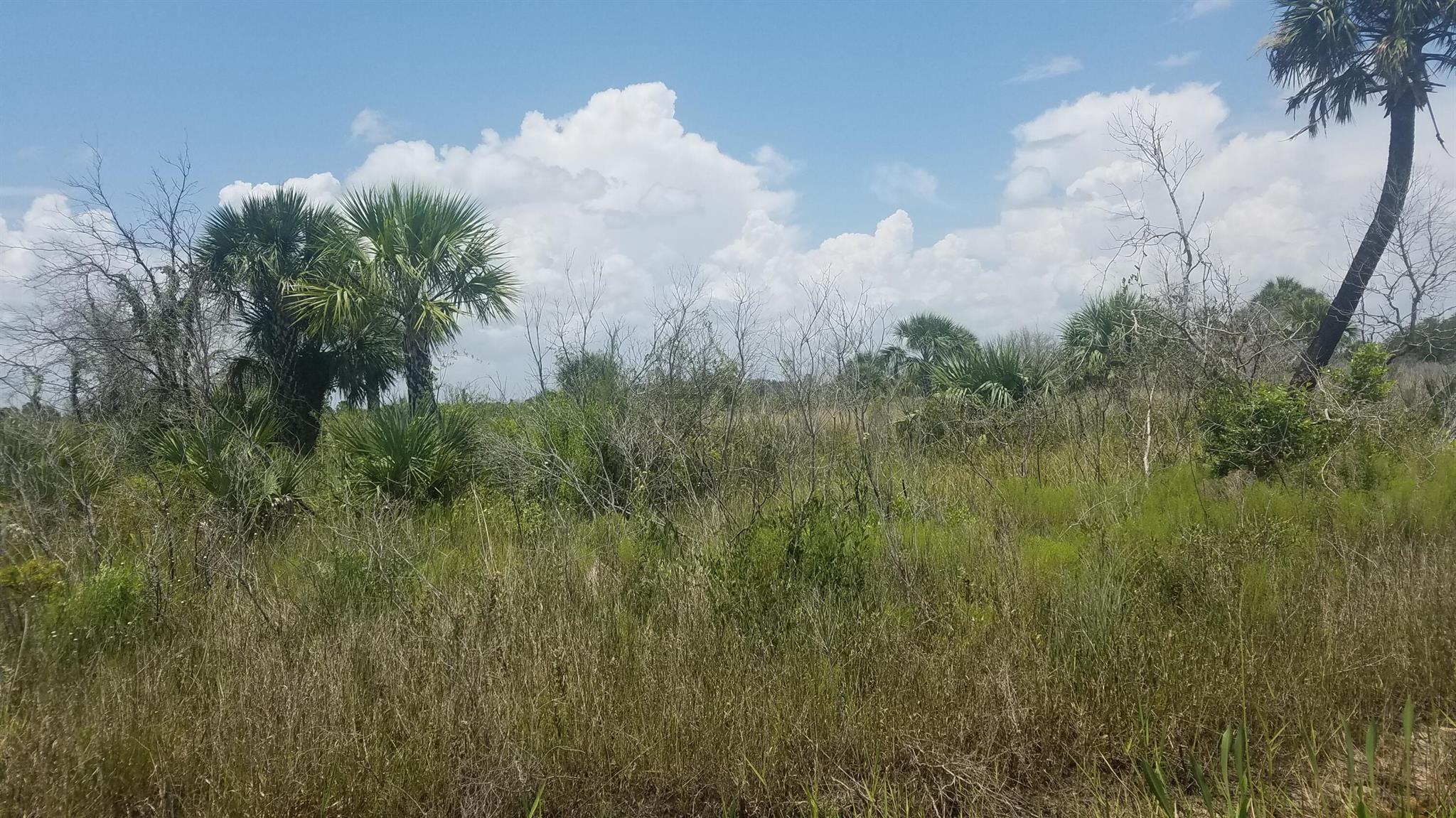 Viking 3 Acre parcel Great for recreational use. No homes nearby. Area is also great for star gazing as there are no bright lights in the area.Can also be used for hunting purposes
